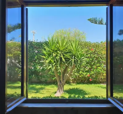 Giardino di Villa Flora: un'oasi verde a 100 m dal mare