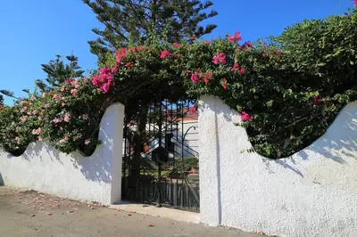Planimetria di Villa Flora: un'oasi verde a 100 m dal mare