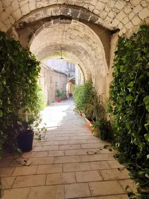 Giardino di Bed and Breakfast Terra del Sole Ibla