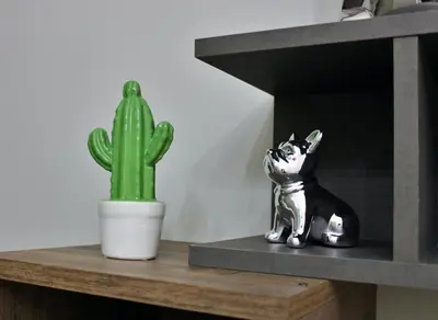 Ospiti di Keope Urban Suite con animali domestici