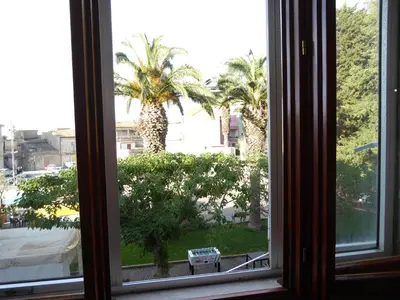 Giardino di The Shamrock House