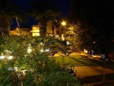Giardino di The Shamrock House