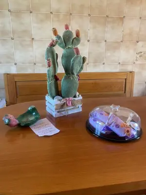 Cibo presso la casa vacanze o nelle vicinanze