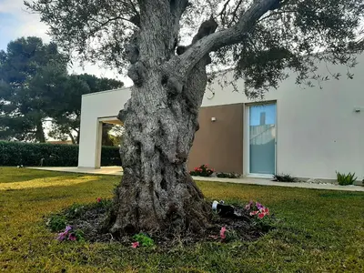 Giardino di Il Giardino dei Coralli