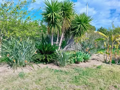 Planimetria di Dépendance in Villa Siciliana