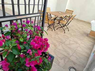 Balcone o terrazza di La Resilienza
