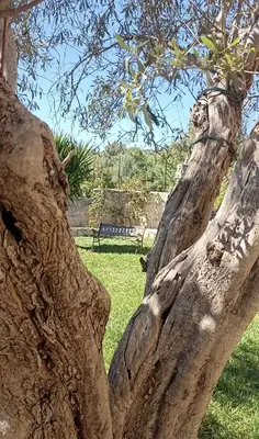 Giardino di La panchina