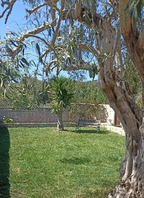 Giardino di La panchina