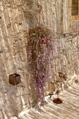 Giardino di Casa Imayah charming B&B