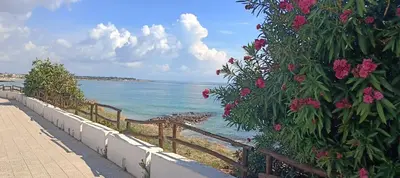 Paesaggio naturale nelle vicinanze dell'appartamento