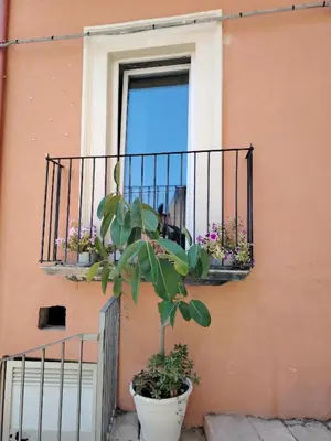 Planimetria di casa Maraura