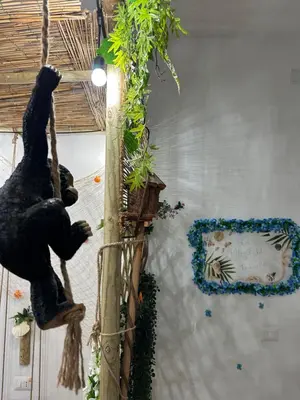 Planimetria di La Casa Delle Conchiglie