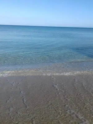 Paesaggio naturale nelle vicinanze della villa