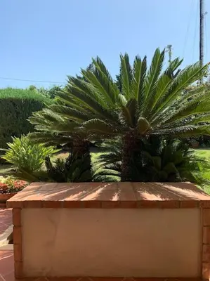 Giardino di RelaxComfort&Mare