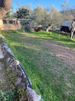 Giardino di Villa Rosa