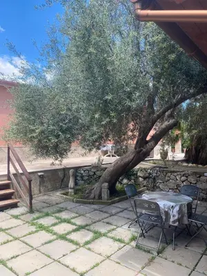 Planimetria di Villa Rosa