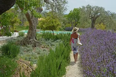 Giardino di Villa Tuffetto Vista Mare Mozzafiato Piscina privata-Tenuta il Cavaliere d'Italia Noto