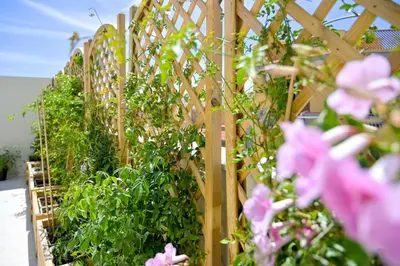 Giardino di B&B Dreaming