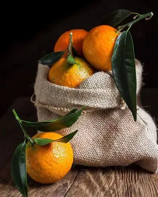 Cibo presso il bed & breakfast o nelle vicinanze