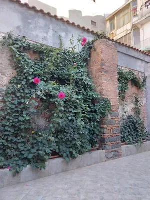Planimetria di La Casina di Lù