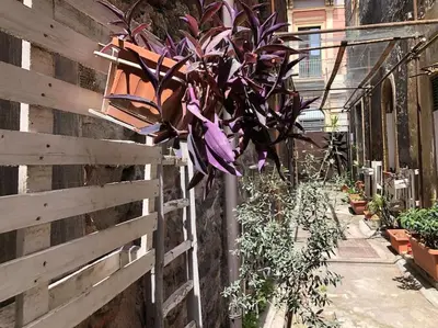 Giardino di Suite Vicolo Lavico
