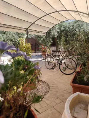 Attività di ciclismo presso la casa vacanze o nelle vicinanze