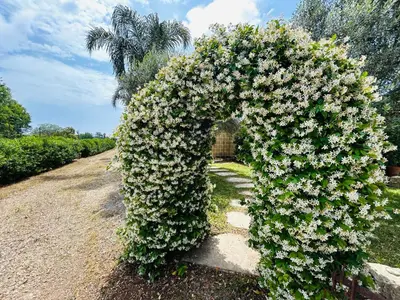 Giardino di Lucrezia's house near the sandy beach parking-wifi