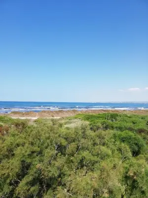 Paesaggio naturale nelle vicinanze della casa vacanze