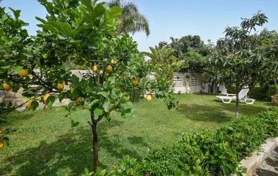 Giardino di 2 Bedroom Cozy Home In Siracusa