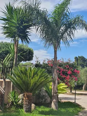 Giardino di Agriturismo Borgo Levante