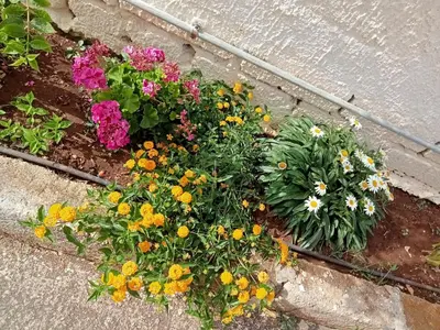 Giardino di 