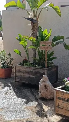 Planimetria di 