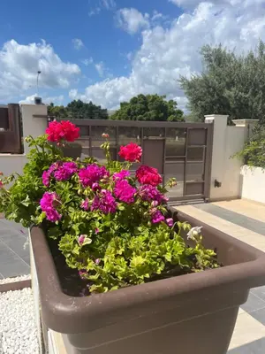 Giardino di Libeccio House