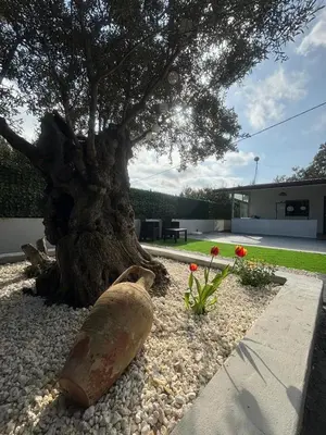 Paesaggio naturale nelle vicinanze della casa vacanze