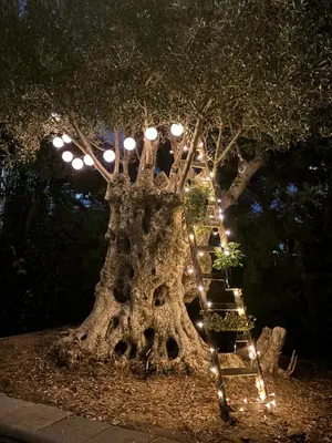 Giardino di Maria Apartment