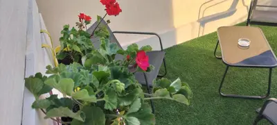 Giardino di Perla marina