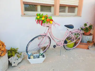 Attività di ciclismo presso l'appartamento o nelle vicinanze