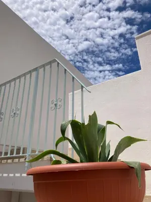 Balcone o terrazza di La Casa di Pippo