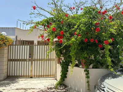 Giardino di Monsant Casa Vacanze