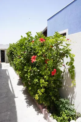 Planimetria di Monsant Casa Vacanze