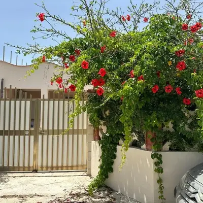 Monsant Casa Vacanze