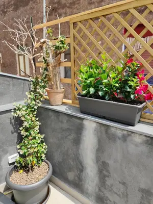 Giardino di Ciaurimari Sicilian Suite con Terrazza
