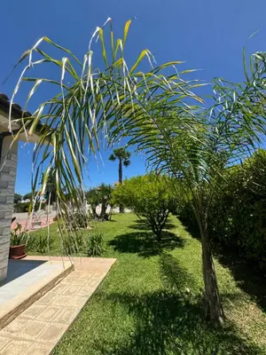 Giardino di White Rock House