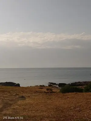 Paesaggio naturale nelle vicinanze dell'affittacamere