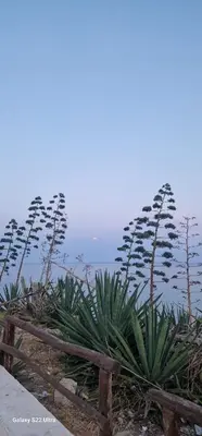 Paesaggio naturale nelle vicinanze della casa vacanze