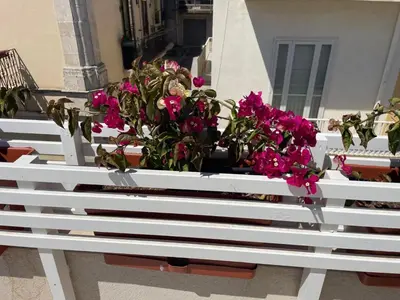Balcone o terrazza di La casa di Tina a due passi dal centro