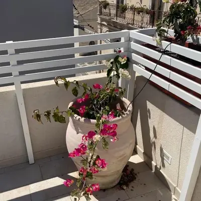 La casa di Tina a due passi dal centro