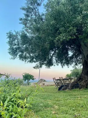 Paesaggio naturale nelle vicinanze dell'agriturismo