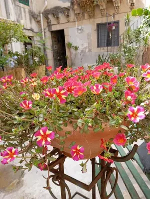 Giardino di Scibona Home Ortigia