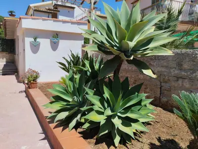Planimetria di Sicilia Meraviglia B&B